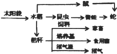 作业帮