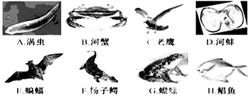 作业帮