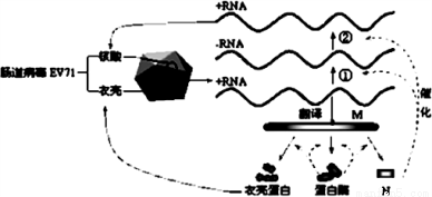 满分5 manfen5.com