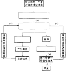 作业帮