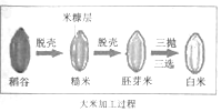 作业帮