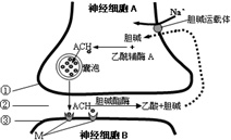 作业帮