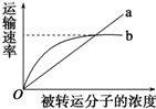 作业帮