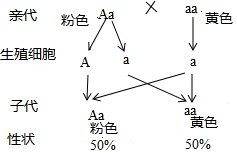 作业帮