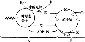 满分5 manfen5.com