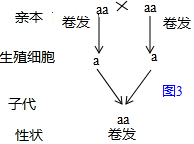 作业帮