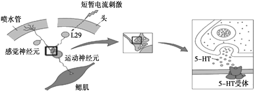 作业帮