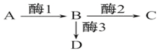 作业帮