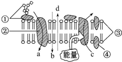 作业帮