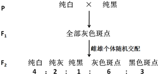 作业帮