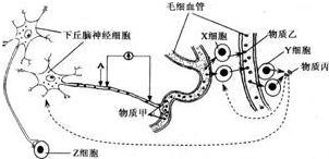 作业帮