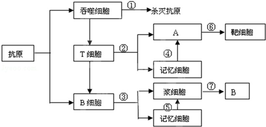 作业帮