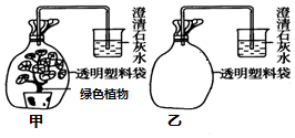 作业帮