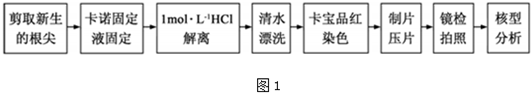 作业帮