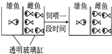 作业帮