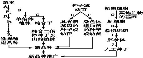 作业帮