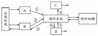 作业帮