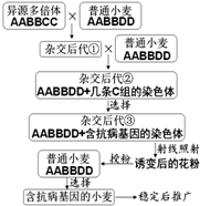 作业帮