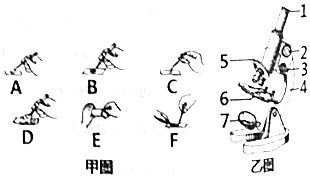 作业帮