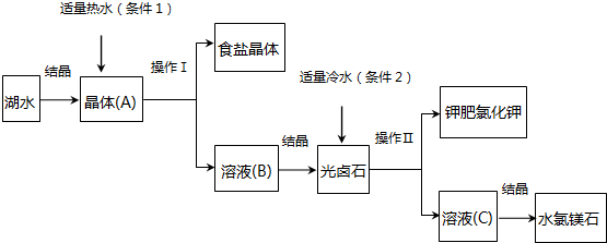 作业帮