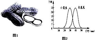 作业帮