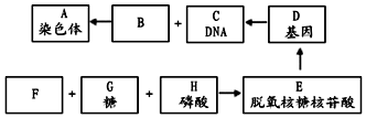 作业帮