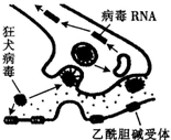 作业帮