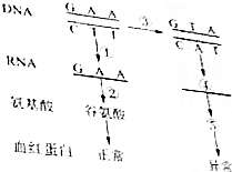 作业帮