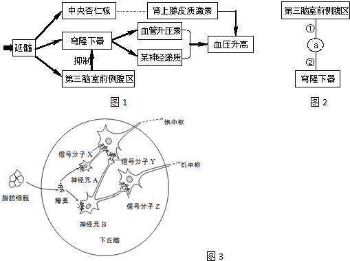 作业帮