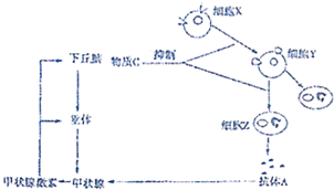 作业帮