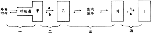 作业帮