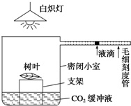 点亮生活的奇趣灯具