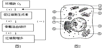 作业帮