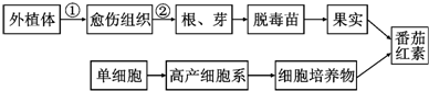 作业帮