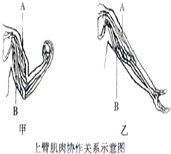 作业帮