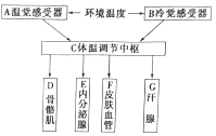 作业帮