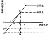 作业帮