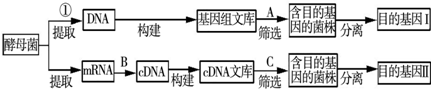 作业帮