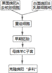 作业帮