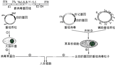 作业帮