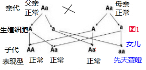 作业帮