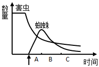 作业帮