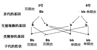 作业帮