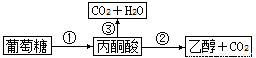 满分5 manfen5.com