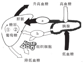 作业帮