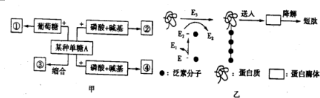 作业帮