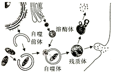 作业帮