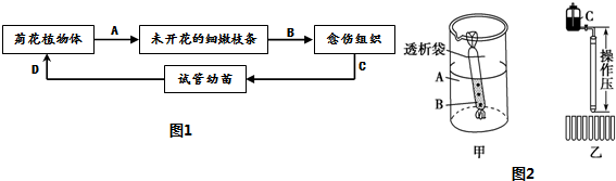 作业帮