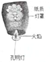 作业帮