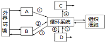 作业帮